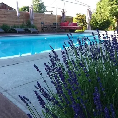 D Hotes ,hotel ,secret D'une Nuit A Vicq Pres De Onnaing,avec Piscine Bed & Breakfast Vicq (Nord)