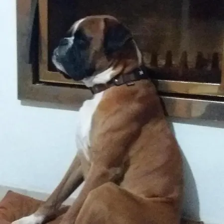 Secret D Une Nuit Chambres D Hotes ,Hotel ,A Vicq Pres De Onnaing,Avec Piscine