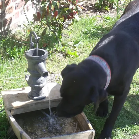 לינה וארוחת בוקר D Hotes ,hotel ,secret D'une Nuit A Pres De Onnaing,avec Piscine Vicq (Nord)